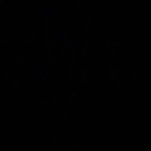 Meet your Posher, Joshua